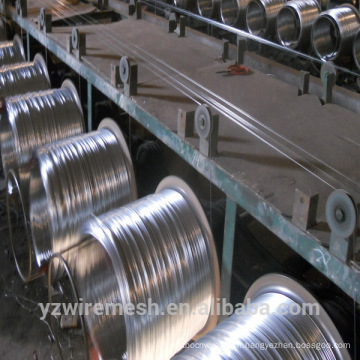 BWG 20 Galvanized Wire wanted by Indian Customers